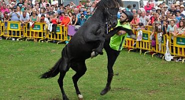 Fiesta del Asturcon, en la sierra del Sueve. XXXIX  edición.