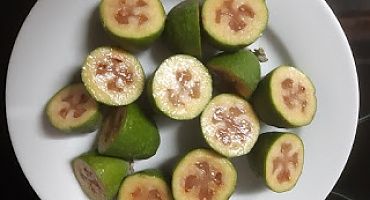 Feijoa, la fruta que Nueva Zelanda hizo suya.