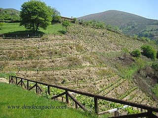 Viticultura de Montaña, Heroica y Única.