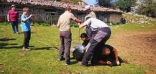 ACAS marca a los asturcones nacidos en el año.