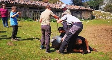 ACAS marca a los asturcones nacidos en el año.