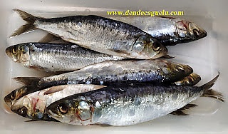 Sardinas, la proletaria exquisitez azúl.