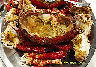 Centollo, el rey de los mariscos gallegos.