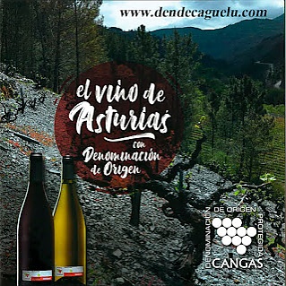 Denominación de Origen Protegida Cangas, el vino de Asturias.