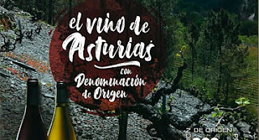Denominación de Origen Protegida Cangas, el vino de Asturias.