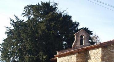 Arboles sagrados en la cultura Astur