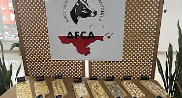 Concurso AFCA 2025 de Quesos de Vaca, Quesadas y Sobaos 2025.