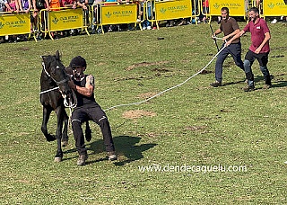 Fiesta del Asturcón. XLV edición, 2025.