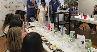 Cata armonización del Círculo Gastronómico de los Quesos Asturianos y la DOP Cangas, en la XXIII Fiesta de la Vendimia de Cangas del Narcea, 2025.