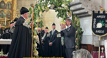 Cofradía Amigos de los Nabos, de La Foz de Morcín. XX Gran Capítulo, 2026.