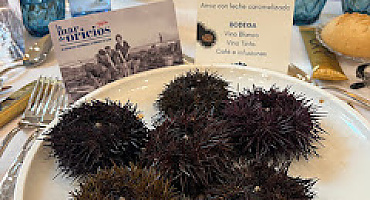 Cofradía del Oriciu de Gijón. VI Capítulo, 2026.