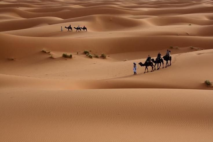 Un orbayu en el desierto