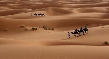 Un orbayu en el desierto