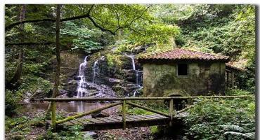 molinos en Asturias