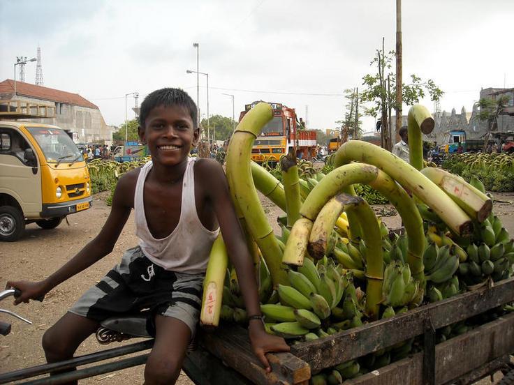 Día Mundial de la Alimentación - Por una inversión agrícola responsable