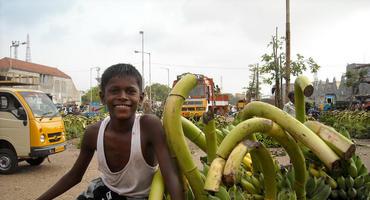 Día Mundial de la Alimentación - Por una inversión agrícola responsable