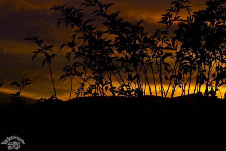 Atardecer ovetense.