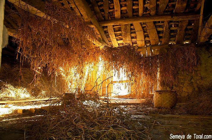 Adivinanza Rural ¿quién se anima?