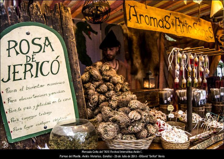 FOTOGALERÍA. Festival Intercélticu Avilés