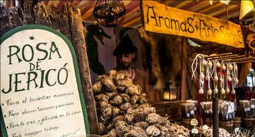 FOTOGALERÍA. Festival Intercélticu Avilés