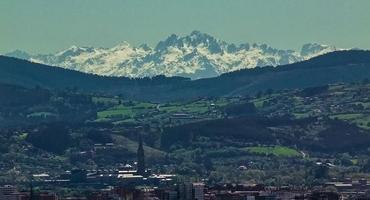 Las prisas no dejan ver el bosque