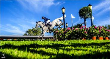 FOTOGALERÍA. CSIO 5* Gijón. Jornada 6.