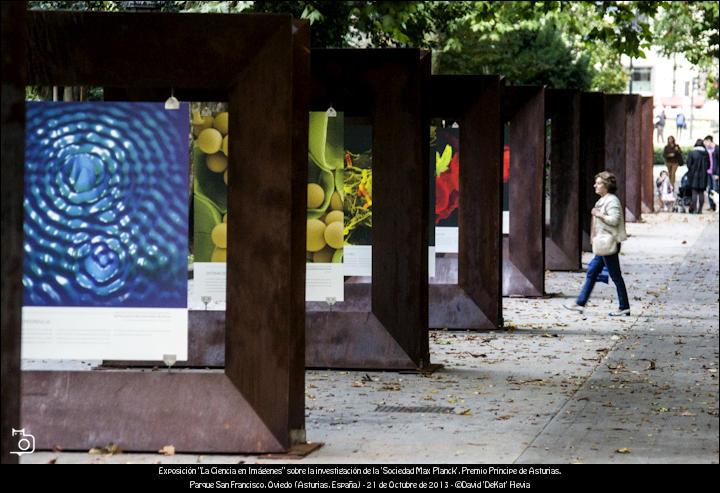 FOTOGALERÍA. Premio Príncipe de Asturias. Exposición 