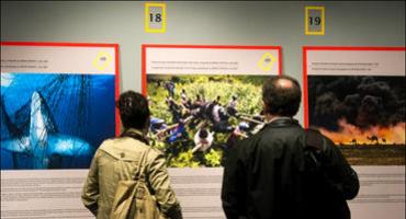 FOTOGALERÍA. Exposición \Las 50 Mejores Fotos de National Geographic\ en Avilés