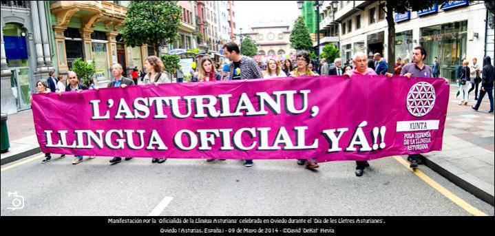 FOTOGALERÍA. Manifestación en Oviedo por la Oficialidad del Asturiano