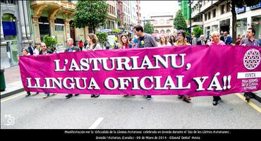 FOTOGALERÍA. Manifestación en Oviedo por la Oficialidad del Asturiano