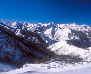 La nieve no la comieron los llobos