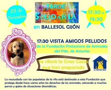 Tarde solidaria con amigos peludos en Ballesol Gijón