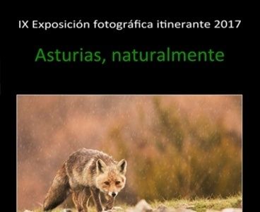 "Asturias, naturalmente" trae la Naturaleza en fotos al CEM Pozu Sotón
