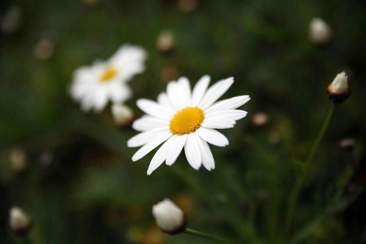 Aún falta para la primavera!