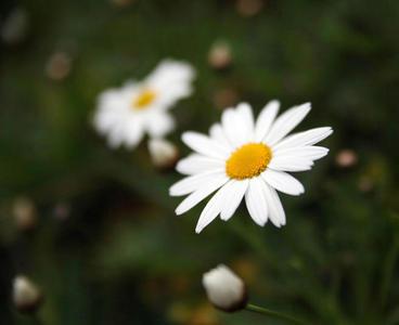 Aún falta para la primavera!