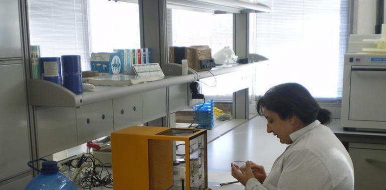 500.000 euros para el laboratorio de biomasa del CEDER de Lubia