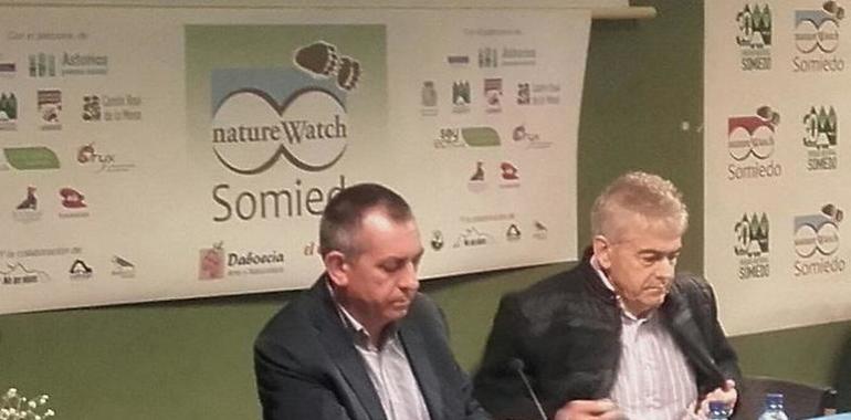 Asturias regulará la observación de osos en Asturias