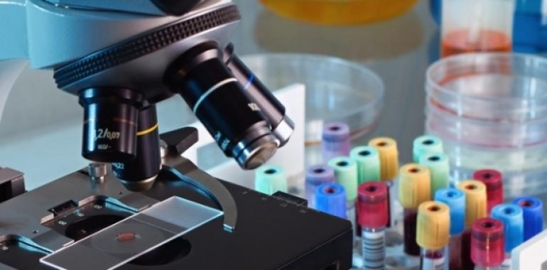ARAID impulsa el desarrollo de nuevas terapias contra la Tuberculosis