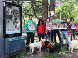 Mieres quiere ´darle la vuelta`al abandono de animales en verano