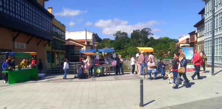 Mercados de Cooperativas y Asociaciones Educativas por Asturias