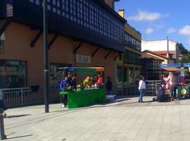 Mercados de Cooperativas y Asociaciones Educativas por Asturias