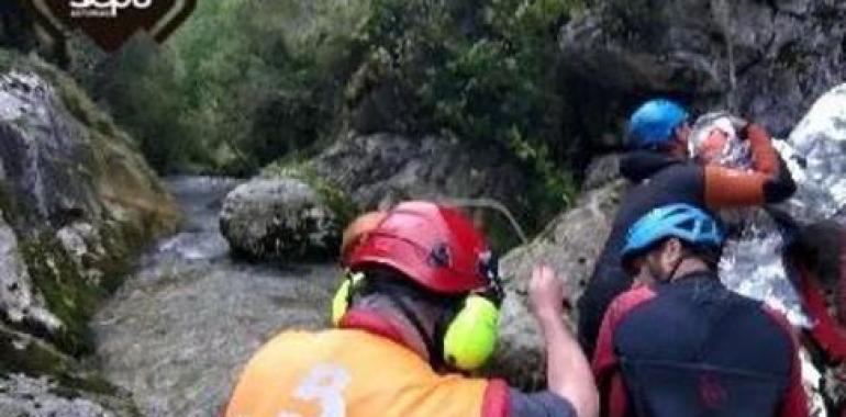Rescatan monitora accidentada en Peñamellera Baja