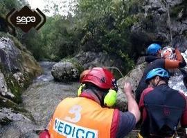 Rescatan monitora accidentada en Peñamellera Baja