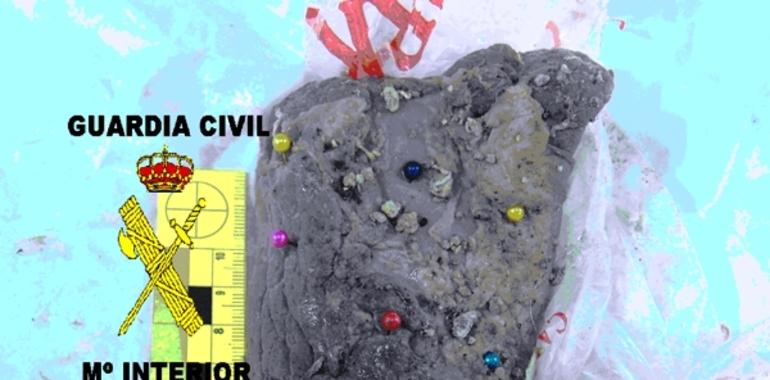 La GC identifica a una luarquesa como presunta autora de los cebos mataperros