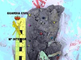 La GC identifica a una luarquesa como presunta autora de los cebos mataperros