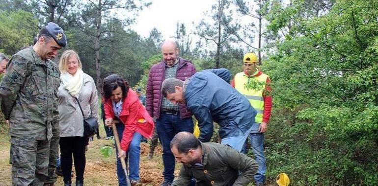 El Gobierno declara zona de interés para la Defensa el Cabo Noval