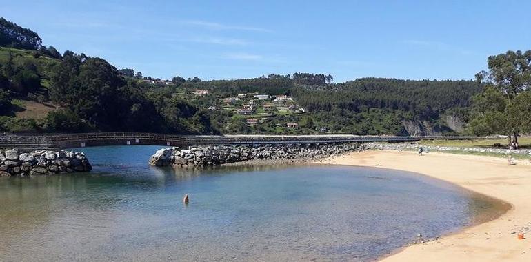Preocupación Ecoloxista por la contaminación en la Ría de Villaviciosa