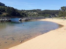 Preocupación Ecoloxista por la contaminación en la Ría de Villaviciosa