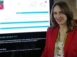 Infertilidad masculina, dos estudios de IVI, a debate en el congreso ESHRE 
