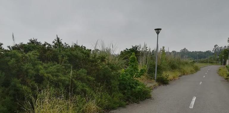 Vecinos de Santa Marina de Piedramuelle denuncian abandono